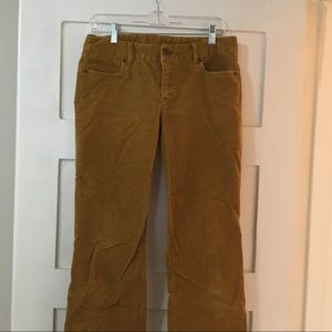 jcrew mustard yellow corduroy bootleg pants